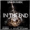 In the End (feat. Ritual of Ether) - Single, 2020