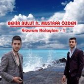 Erzurum Halayları, Vol. 1 (feat. Mustafa Özden) artwork