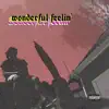 Wonderful Feelin' - Single album lyrics, reviews, download