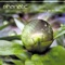 Guarana - Phanatic & Bizzare Contact lyrics