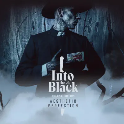 Into the Black (Deluxe Version) - Aesthetic Perfection