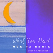 What You Need (Mokita Remix) [feat. Mokita] artwork