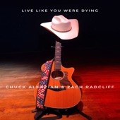 Live Like You Were Dying artwork