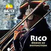 Hold Him Joe - Rico Rodriguez