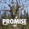 Promise (feat. Joyride) - leftprojects lyrics