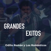 Grandes Éxitos artwork