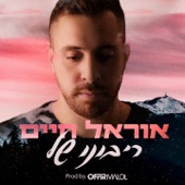 ריבונו של artwork