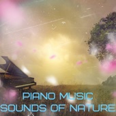 Piano Music and Sounds of Nature artwork