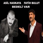 Bedeli Var (feat. Fatih Bulut) artwork