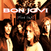 Bon Jovi - Something For The Pain Lyrics