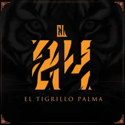 El 24 - Single - El Tigrillo Palma El 24 - Single - El Tigrillo Palma