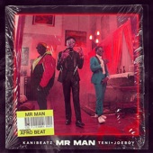 Mr Man (feat. Teni & Joeboy) artwork