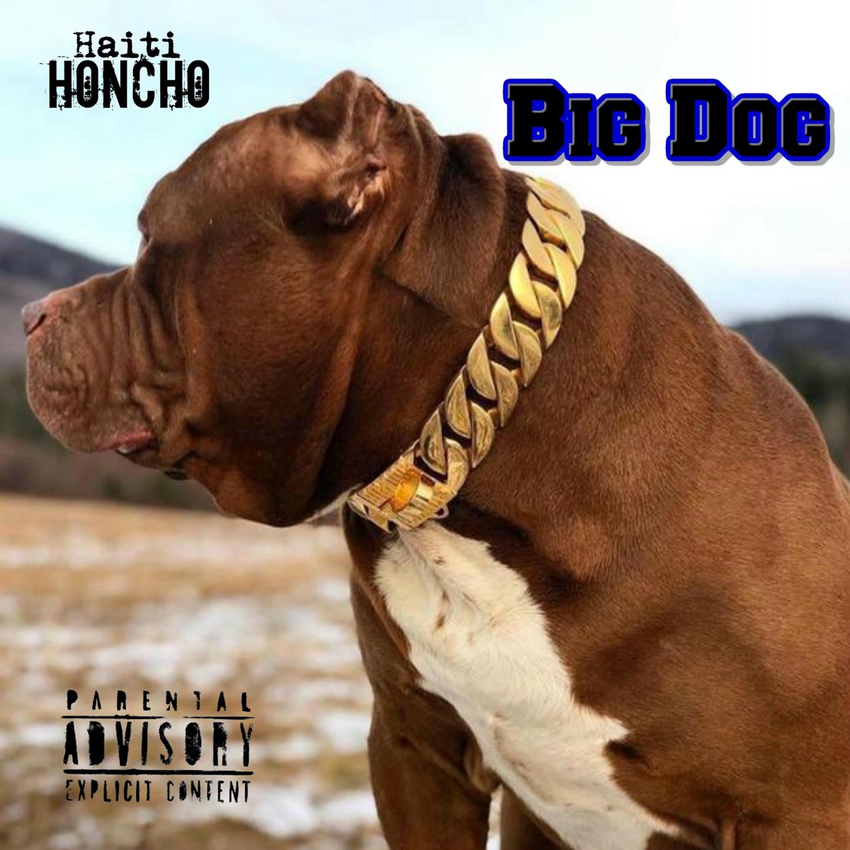 hulk the pitbull gold chain