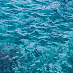 Llamándote - Single - El Pipo