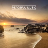 Peaceful Music artwork