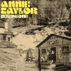 Annie Taylor - Telephone