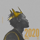2020 après J.C artwork