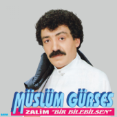 Bir Bilebilsen - Müslüm Gürses