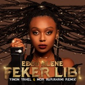 Feker Libi (Yinon Yahel & Mor Avrahami Remix) artwork