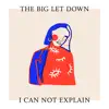 I Can Not Explain (feat. Steven Ellis) - Single album lyrics, reviews, download
