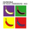 VSQ Performs Velvet Underground & Nico