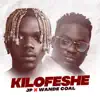 Kilofeshe - Single album lyrics, reviews, download