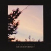 Never Forget - Single