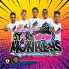 Grupo Star Monkeys - Single