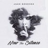 Now the Silence - Single