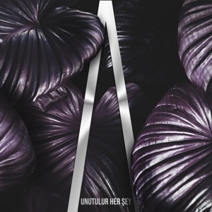 Unutulur Her Şey - Single
