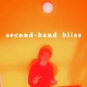 Second-Hand Bliss artwork