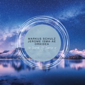 Inside (feat. Diana Miro) [Jerome Isma - Ae Remix] artwork