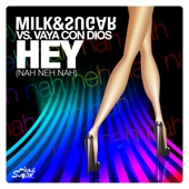 Hey (Nah Neh Nah) [Milk & Sugar vs. Vaya Con Dios] [Milk & Sugar Alternative Radio Version] artwork