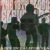 13th Floor Elevators - The Word (Recorded live in 1966 in the Bay Area of California)