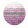 1 Year Global Echoes