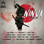 Ninja Riddim artwork