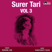 Surer Tari Vol 3 artwork