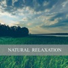 Natural Relaxation