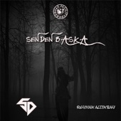 Senden Başka (feat. Reyhan Altınbay) artwork