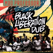 Black Liberation Dub artwork