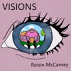 Visions - Single