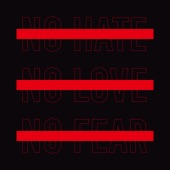 No Hate No Love No Fear artwork