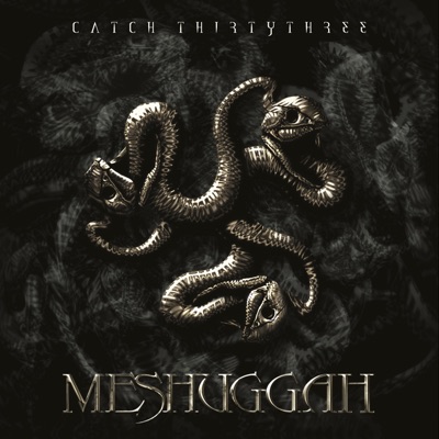 Catch Thirtythree - Meshuggah