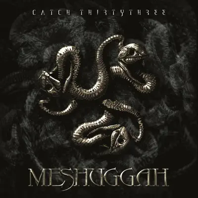 Catch Thirtythree - Meshuggah