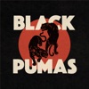 Black Pumas - You Know Better