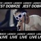 Jest dobrze - Ladaco lyrics