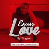 Excess Love artwork