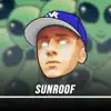 Sunroof (Remix) song lyrics
