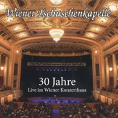 30 Jahre: Live im Wiener Konzerthaus (Live) artwork