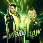 Hybrid Flow: The Hybrid 2 a.E.W. Theme artwork